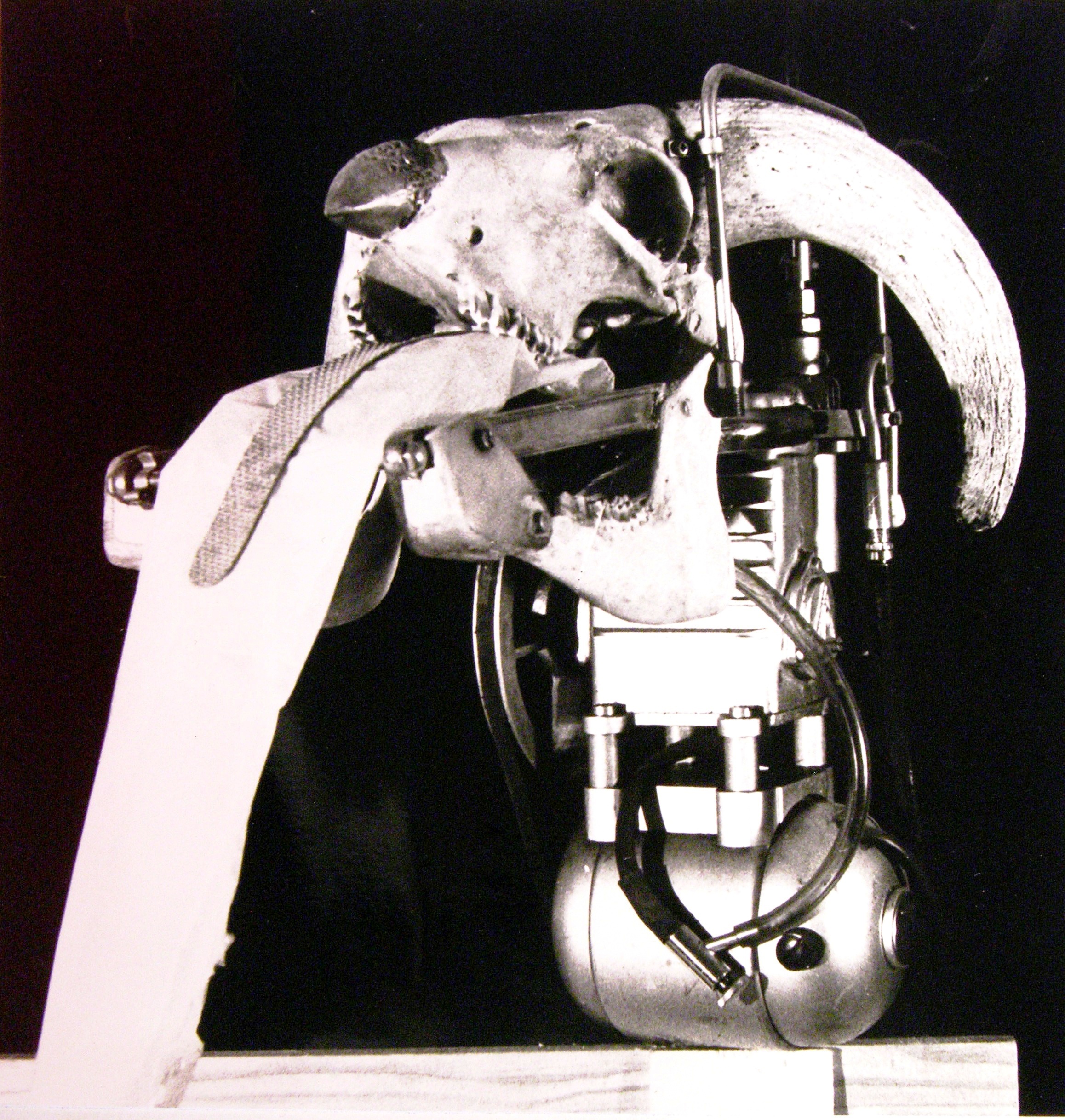 Hammelkompressor, 1983